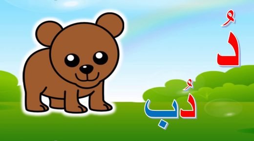 كلمات بحرف الدال