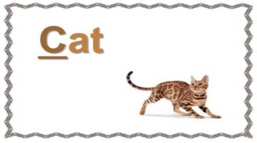 كلمات بحرف c بالإنجليزي