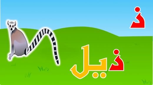 كلمات بحرف الذال