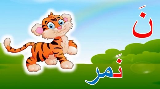 كلمات بحرف النون