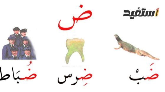 اسم ولد بحرف ض ونبات وجماد وحيوان وبلاد بحرف الضاد