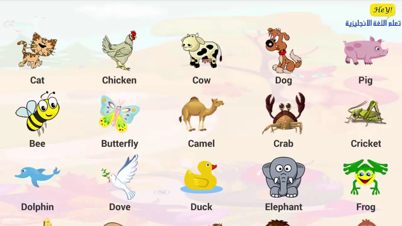 اسماء الحيوانات بالانجليزي مع الصور للاطفال
