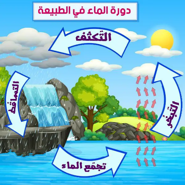رسم دورة الماء في الطبيعة للاطفال
