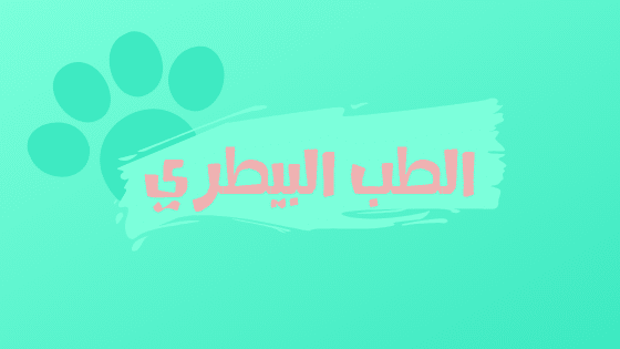 أفضل تخصصات الطب البيطري