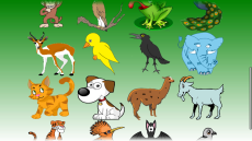 اوراق عمل عن الحيوانات للاطفال