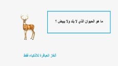 ما هو الحيوان الذي لا يلد ولا يبيض