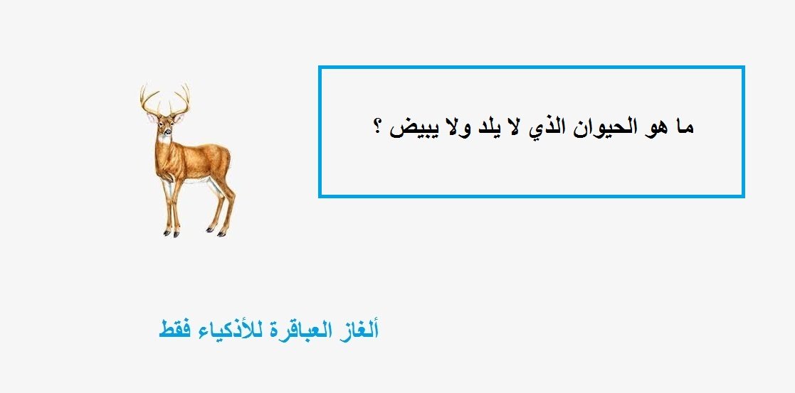 ما هو الحيوان الذي لا يلد ولا يبيض