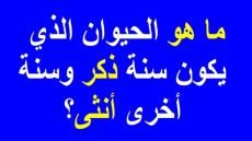 ما هو الحيوان الذي سنه ذكر وسنه انثى