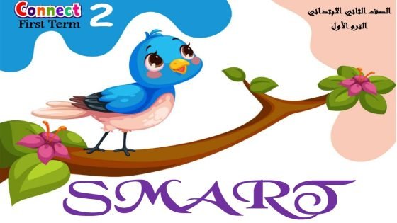 رابط تحميل مذكرة انجلش الصف الثاني الابتدائي الترم الاول 2024