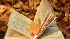 تعبير عن فصل الخريف