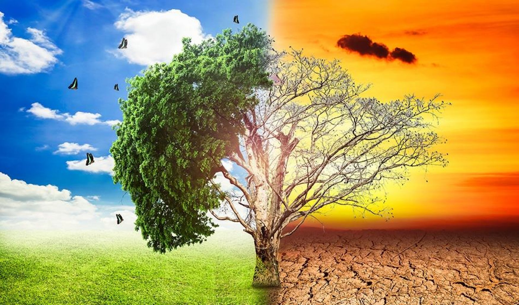 مقدمة عن تغير المناخ وتأثيره على البيئة