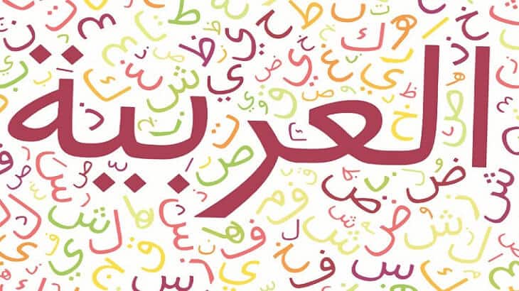 انشاء عن اللغه العربيه