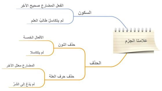علامات الرفع والنصب والجر والجزم