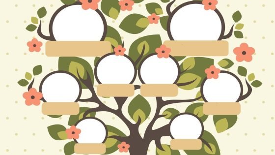 معرفة الاسم بالكامل من دار المحفوظات