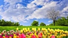 تعبير عن فصل الربيع