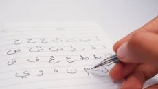 الحروف المستقره على السطر في خط النسخ