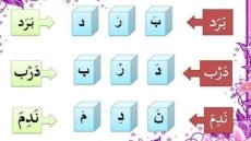 تحليل الكلمه الى مقاطع وحروف