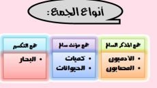 جمع مذكر سالم وجمع مؤنث سالم