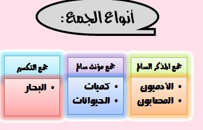 جمع مذكر سالم وجمع مؤنث سالم