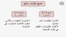 اعراب جمع المذكر والمؤنث السالم