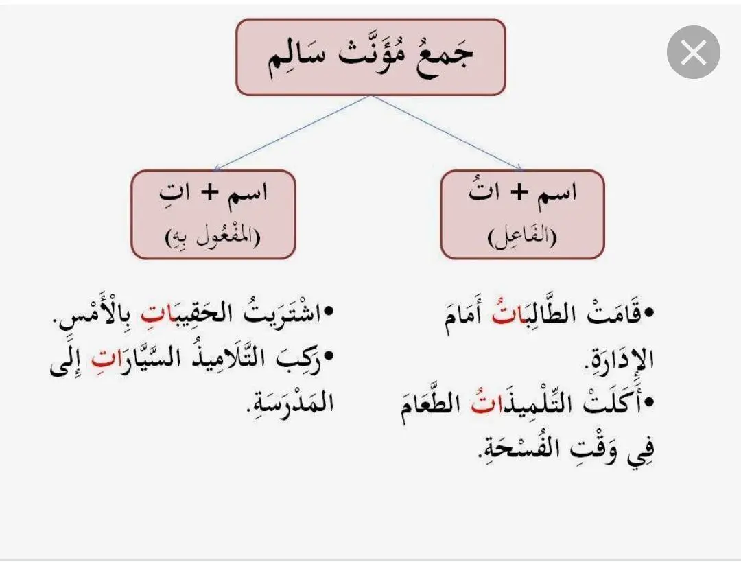 اعراب جمع المذكر والمؤنث السالم