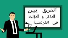 magazine مذكر ام مؤنث